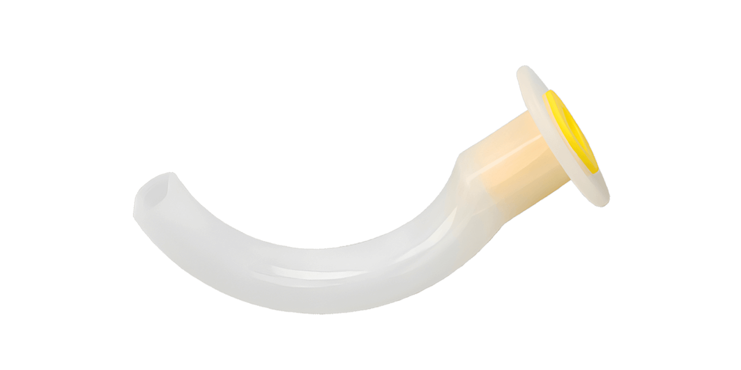 Oropharyn Airway