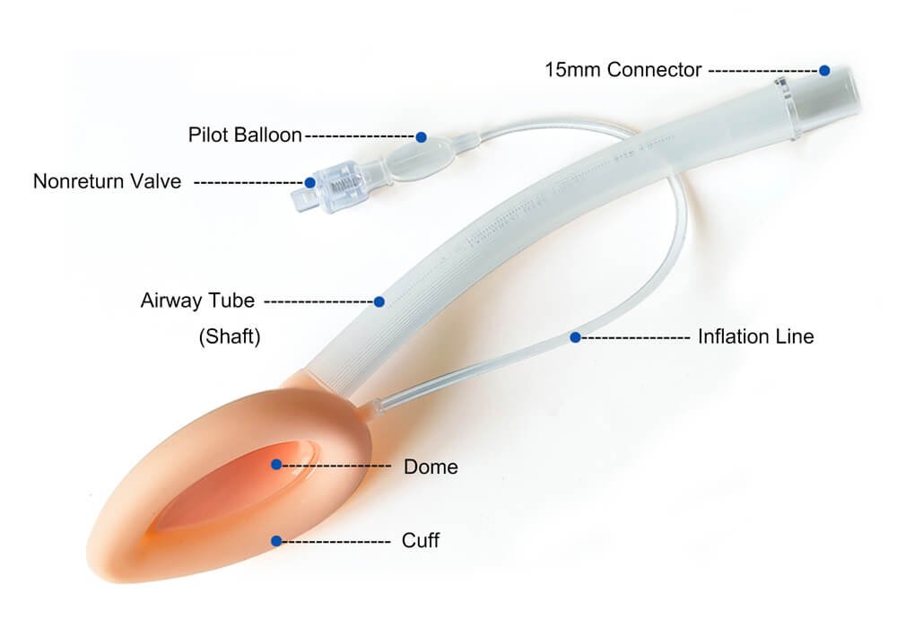 laryngeal mask
